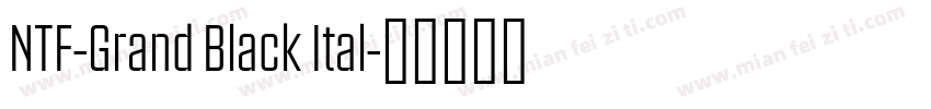 NTF-Grand Black Ital字体转换